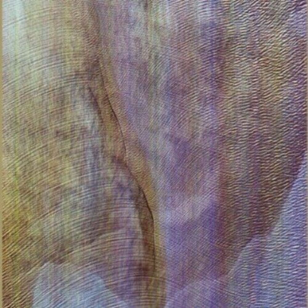 Akron/Family - Sub Verses  CD